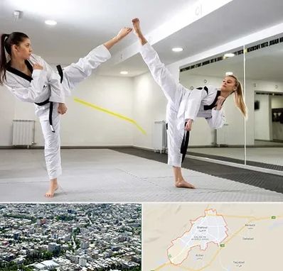 باشگاه دفاع شخصی بانوان در شاهرود