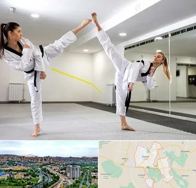 باشگاه دفاع شخصی بانوان در شهریار