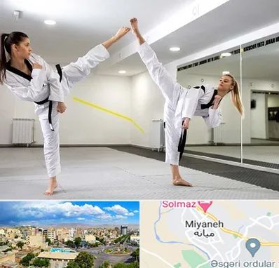 باشگاه دفاع شخصی بانوان در میانه