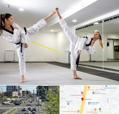 باشگاه دفاع شخصی بانوان در ستاری 