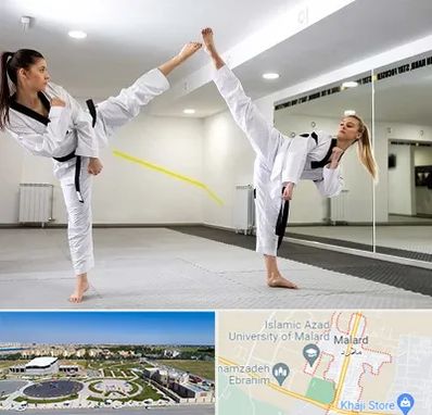 باشگاه دفاع شخصی بانوان در ملارد