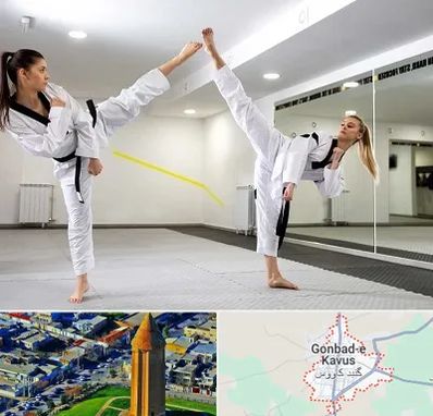 باشگاه دفاع شخصی بانوان در گنبد کاووس