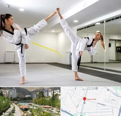 باشگاه دفاع شخصی بانوان در بلوار تعاون