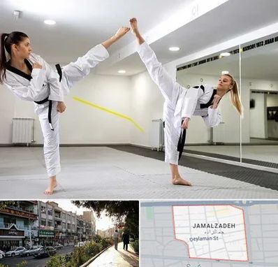 باشگاه دفاع شخصی بانوان در خیابان جمالزاده