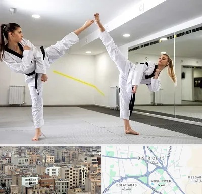 باشگاه دفاع شخصی بانوان در جنوب شرق تهران