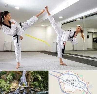 باشگاه دفاع شخصی بانوان در الیگودرز