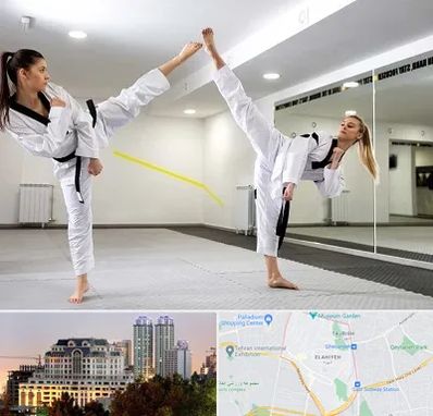 باشگاه دفاع شخصی بانوان در فرشته 