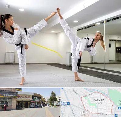 باشگاه دفاع شخصی بانوان در پرواز تبریز