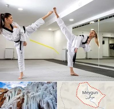 باشگاه دفاع شخصی بانوان در میگون