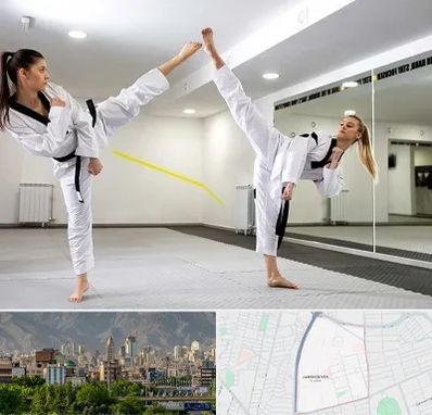 باشگاه دفاع شخصی بانوان در جمشیدیه