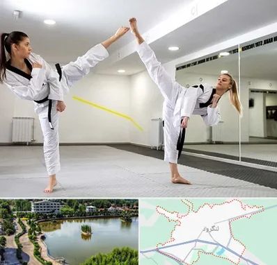 باشگاه دفاع شخصی بانوان در لنگرود