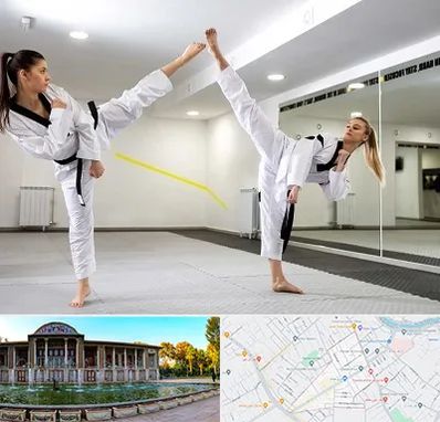 باشگاه دفاع شخصی بانوان در عفیف آباد شیراز