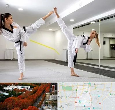 باشگاه دفاع شخصی بانوان در منطقه 6 تهران 