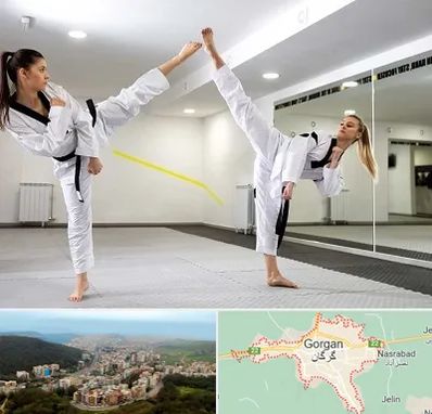 باشگاه دفاع شخصی بانوان در گرگان