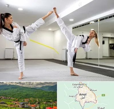 باشگاه دفاع شخصی بانوان در آمل