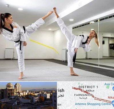 باشگاه دفاع شخصی بانوان در فرمانیه 