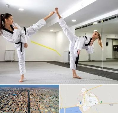 باشگاه دفاع شخصی بانوان در بندر ماهشهر