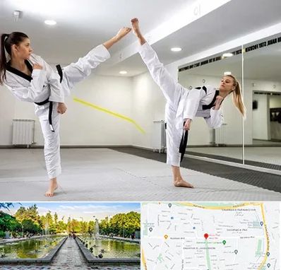 باشگاه دفاع شخصی بانوان در سرسبز 