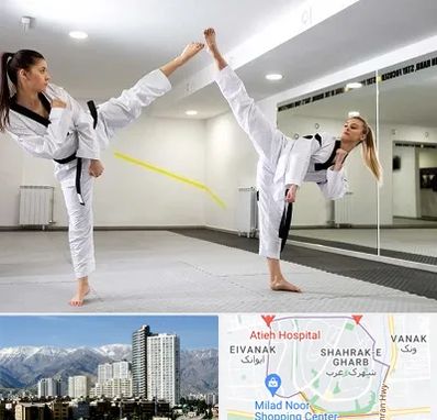 باشگاه دفاع شخصی بانوان در شهرک غرب 