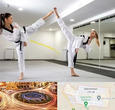 باشگاه دفاع شخصی بانوان در بهارستان