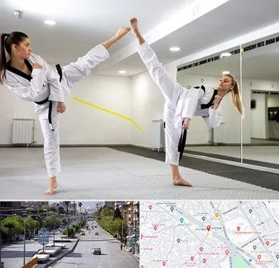 باشگاه دفاع شخصی بانوان در خیابان زند شیراز