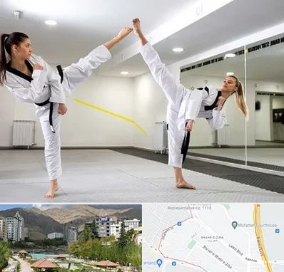 باشگاه دفاع شخصی بانوان در شهر زیبا 