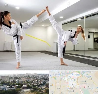 باشگاه دفاع شخصی بانوان در منطقه 20 تهران 