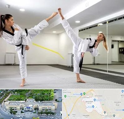 باشگاه دفاع شخصی بانوان در نسیم شهر