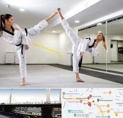 باشگاه دفاع شخصی بانوان در پارک وی 