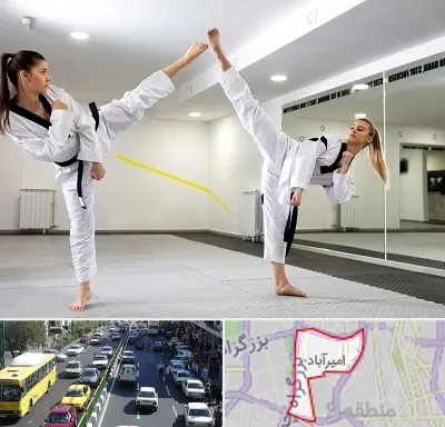 باشگاه دفاع شخصی بانوان در امیرآباد