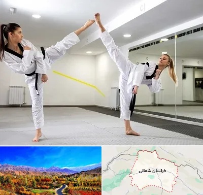 باشگاه دفاع شخصی بانوان در خراسان شمالی