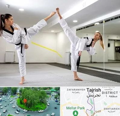 باشگاه دفاع شخصی بانوان در تجریش 