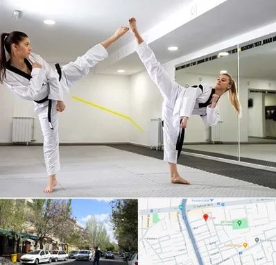 باشگاه دفاع شخصی بانوان در کوی فیروز تبریز