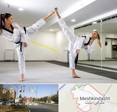 باشگاه دفاع شخصی بانوان در مشکین دشت