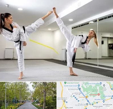 باشگاه دفاع شخصی بانوان در قدوسی غربی شیراز