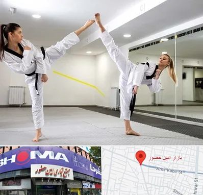 باشگاه دفاع شخصی بانوان در امین حضور