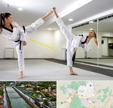 باشگاه دفاع شخصی بانوان در مراغه