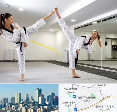 باشگاه دفاع شخصی بانوان در قیطریه 