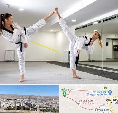 باشگاه دفاع شخصی بانوان در شهرک گلستان شیراز