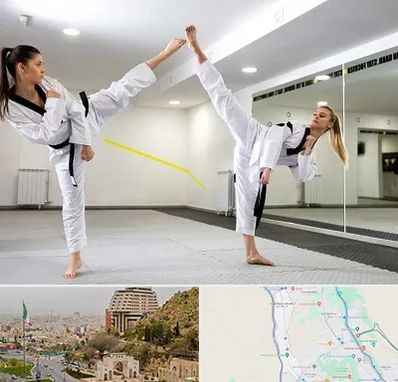 باشگاه دفاع شخصی بانوان در فرهنگ شهر شیراز