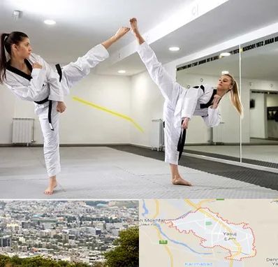 باشگاه دفاع شخصی بانوان در یاسوج