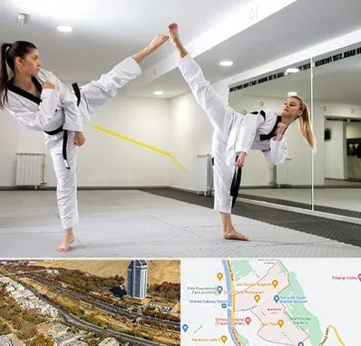 باشگاه دفاع شخصی بانوان در خیابان نیایش شیراز