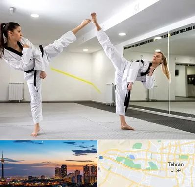 باشگاه دفاع شخصی بانوان در غرب تهران 