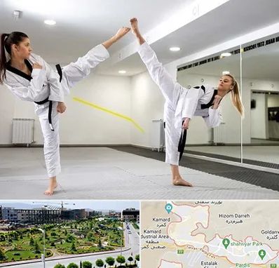 باشگاه دفاع شخصی بانوان در پردیس