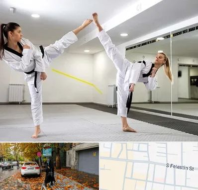 باشگاه دفاع شخصی بانوان در خیابان فلسطین