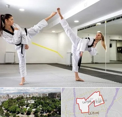 باشگاه دفاع شخصی بانوان در نیروی هوایی