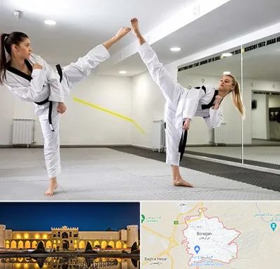 باشگاه دفاع شخصی بانوان در برازجان