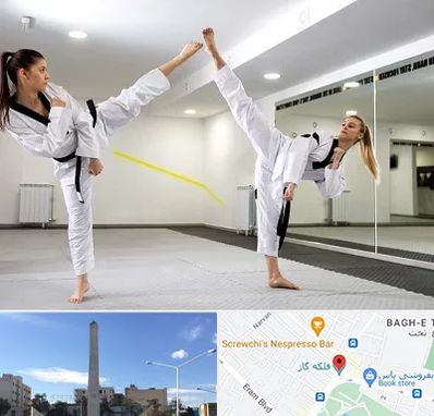 باشگاه دفاع شخصی بانوان در فلکه گاز شیراز