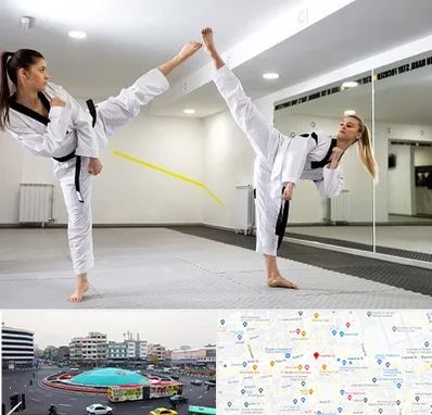 باشگاه دفاع شخصی بانوان در میدان انقلاب 