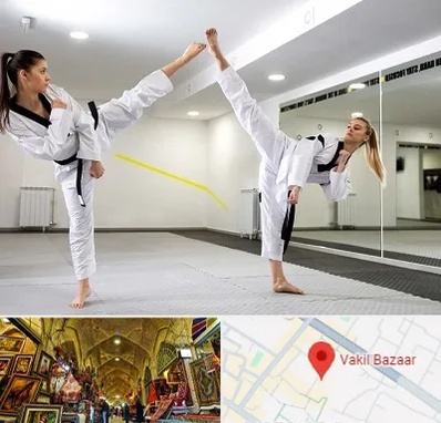 باشگاه دفاع شخصی بانوان در بازار وکیل شیراز